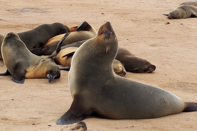 9 Day Etosha, Skeleton Coast and Sossusvlei Camping and Lodge Safari - Deadvlei, Dune 45, and Sesriem Canyon: how to do Sossusvlei without rushing