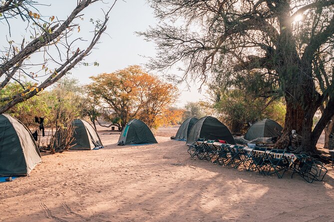 9 Day Etosha, Skeleton Coast and Sossusvlei Camping and Lodge Safari - Price, meals, and the real value behind the $2,568.47