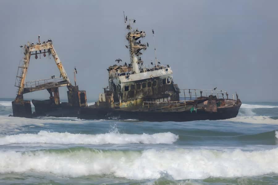 Cape Cross and Henties Bay Guided Tour SkeletonCoast Namibia - Key points to know before you go