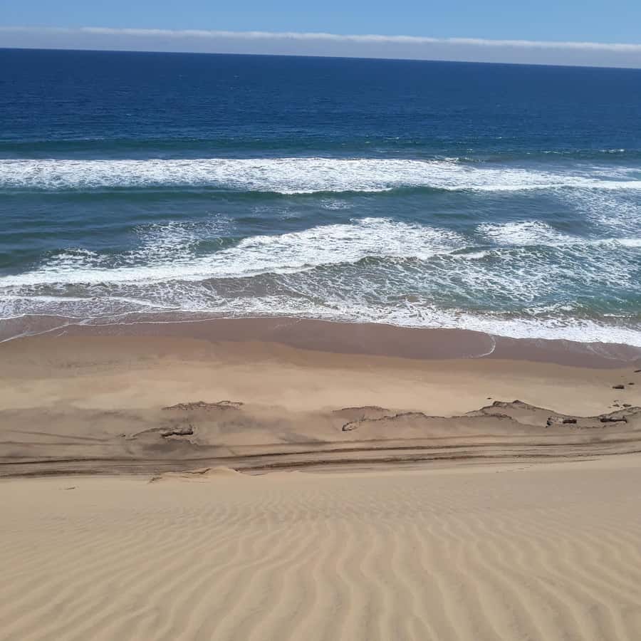 Catamaran Dolphin Cruise and Sandwich Harbour Tour - Walvis Bay lagoon and Pink Salt Lakes, why the scenery matters even without stopping everywhere