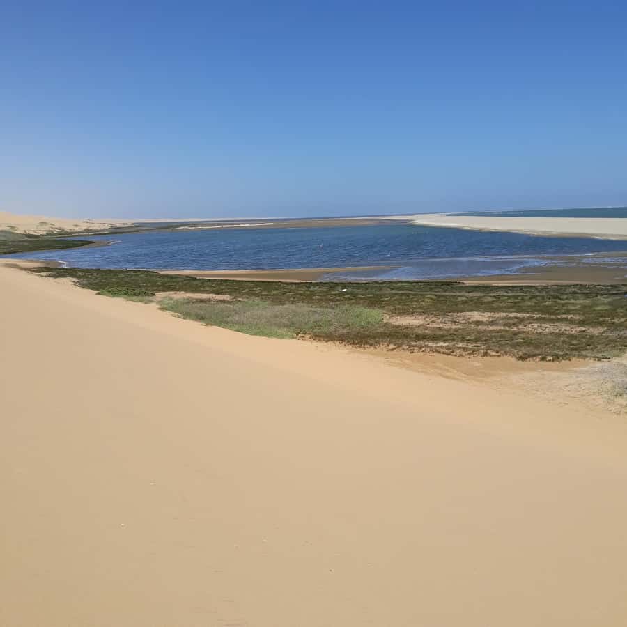 Catamaran Dolphin Cruise and Sandwich Harbour Tour - The thrill of the !Nara Valley dune drive to Sandwich Harbour