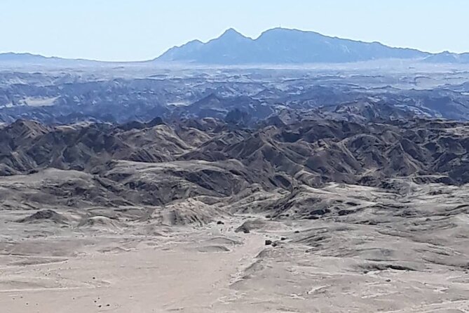 Cruise liner Special: Swakopmund and Namib Desert Highlights - From Walvis Bay Port to Swakopmund, With Desert Road Energy Already Kicking In