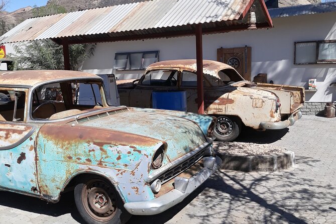 Cruise liner Special: Swakopmund and Namib Desert Highlights - Lichen Field Stop: The Tiny Partnership That Explains Survival