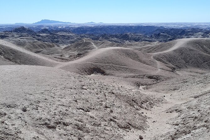 Cruise liner Special: Swakopmund and Namib Desert Highlights - Swakopmund Jetty and Mole Walk: Quick, Old-World, and Easy