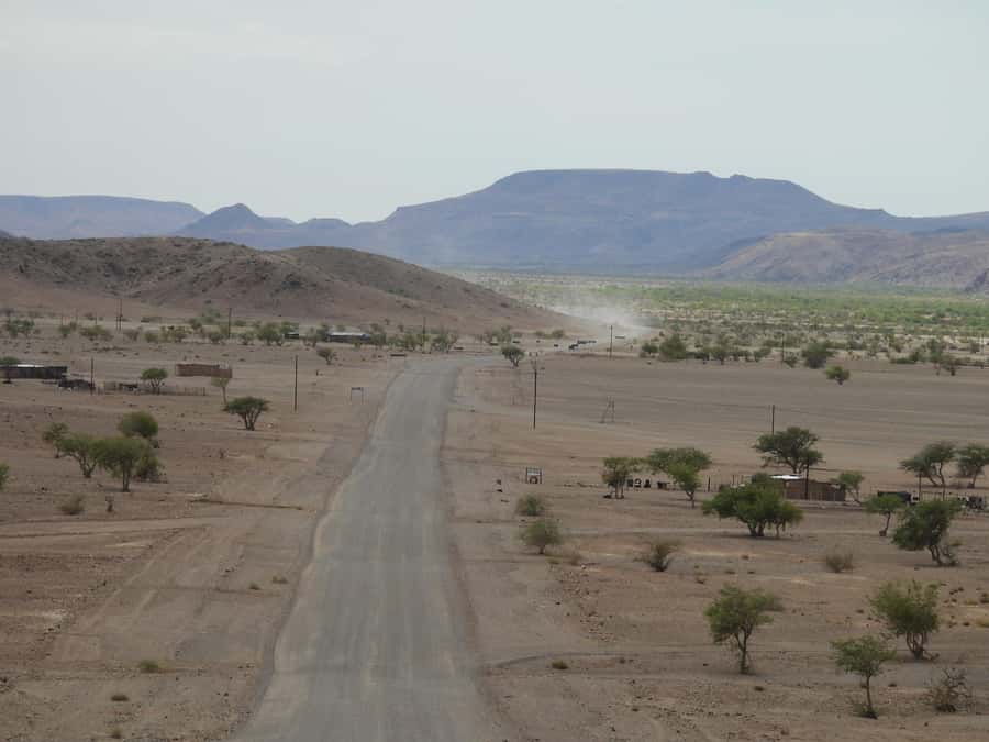 Elephant Adventure with Herson - a native of Damaraland - The elephant encounter: what you can realistically hope to see