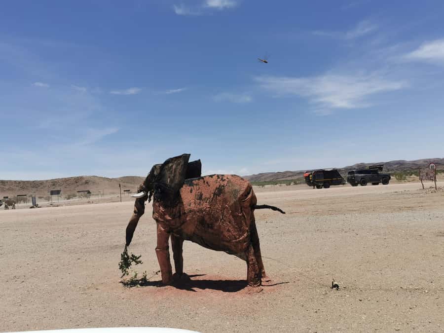 Elephant Adventure with Herson - a native of Damaraland - Walking through the 2 hour flow, start to finish