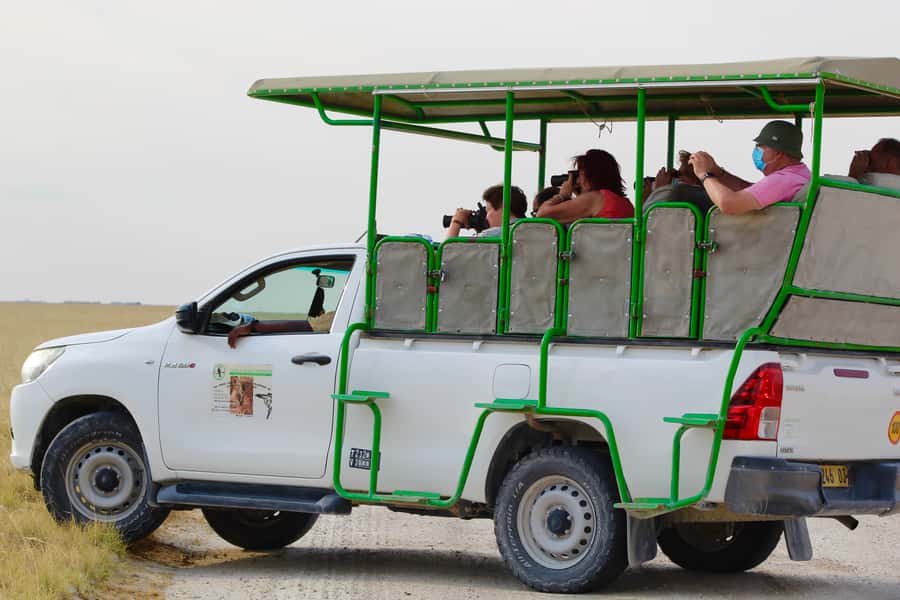 Etosha National Park: Full or Half-Day Game Drive - Your Day at Etosha: Anderson Gate to the Best Wildlife Windows