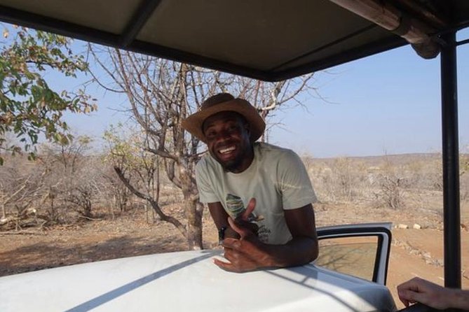 ETOSHA PARK SAFARI with local guides in 9-seater 4x4s - Raised visibility in the 4x4, and how to use it well