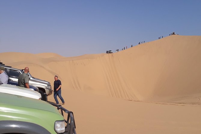 Exhilarating Sandwich Harbour 4x4: Guided Self drive experience - Vehicle, insurance, and rules you must take seriously
