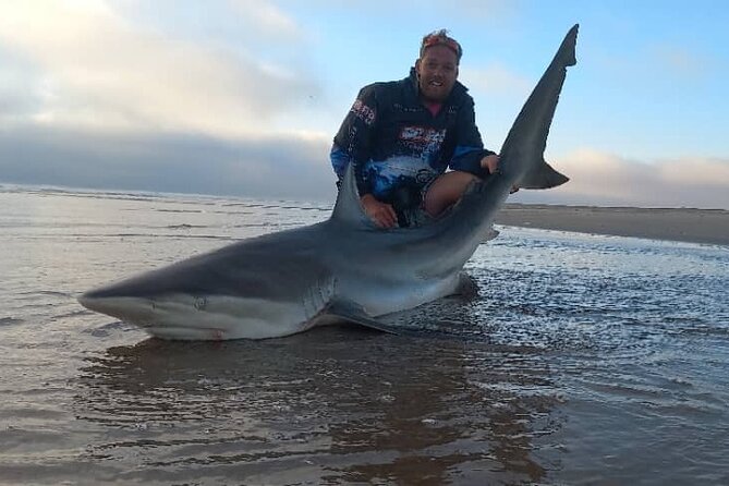 Fishing Trip and Shore Angling in the Namibian Coastline - What You Can Hook: Bronzwhaler Sharks, Spotted Sharks, and More