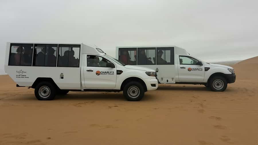 From Swakopmund: Living Dunes Experience - A Living Desert Safari That Turns the Sand Into a Clues Game