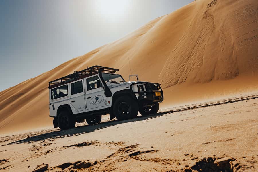 From Walvis Bay: Sandwich Harbor 4x4 Tour - Through the salt pans and pink lakes for pelicans and Caspian terns