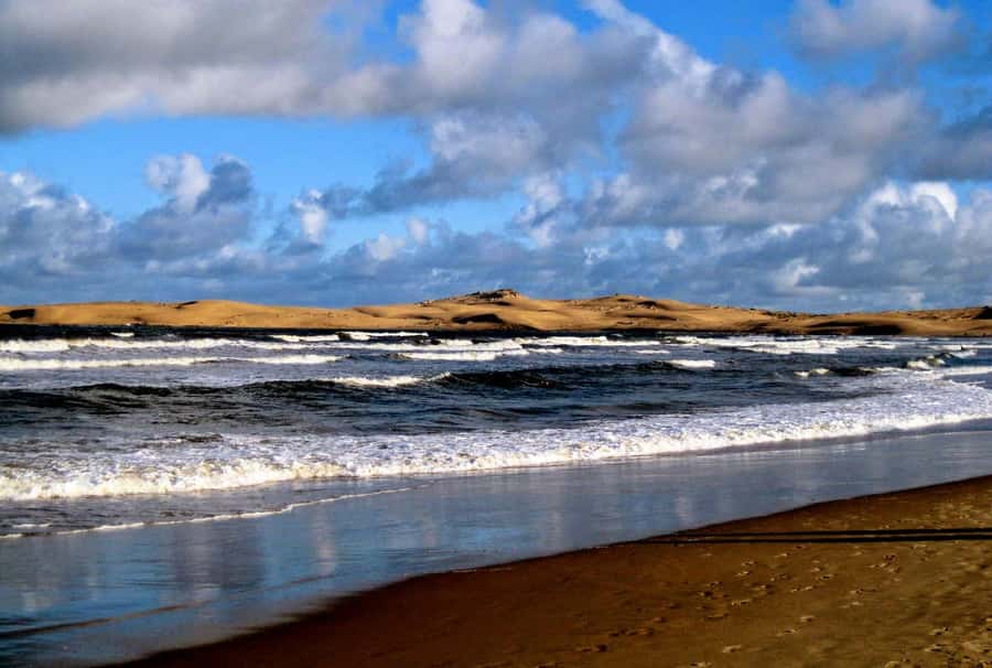 From Walvis Bay: Sandwich Harbour World Heritage Site - Key things I’d mark in your notebook