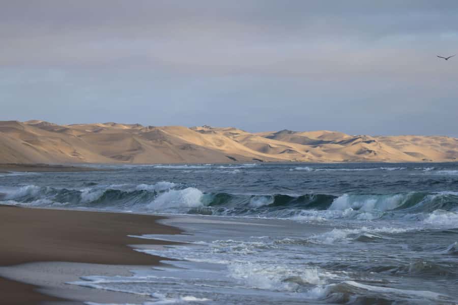 From Walvis Bay: Sandwich Harbour World Heritage Site - The first RAMSAR wetland stop, tidal lagoons and birds you can actually spot