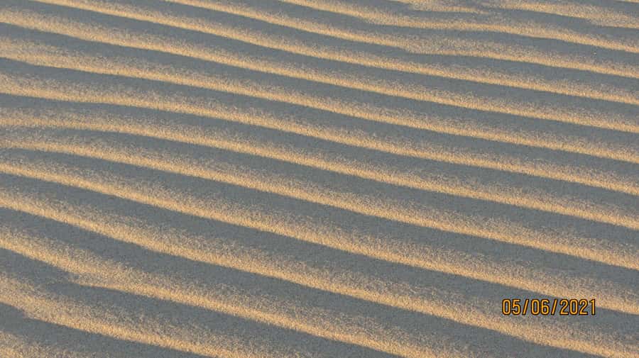 From Walvis Bay: Sandwich Harbour World Heritage Site - Driving the Namib Dunes to Sandwich Harbour Lagoon, where the coast and sand meet