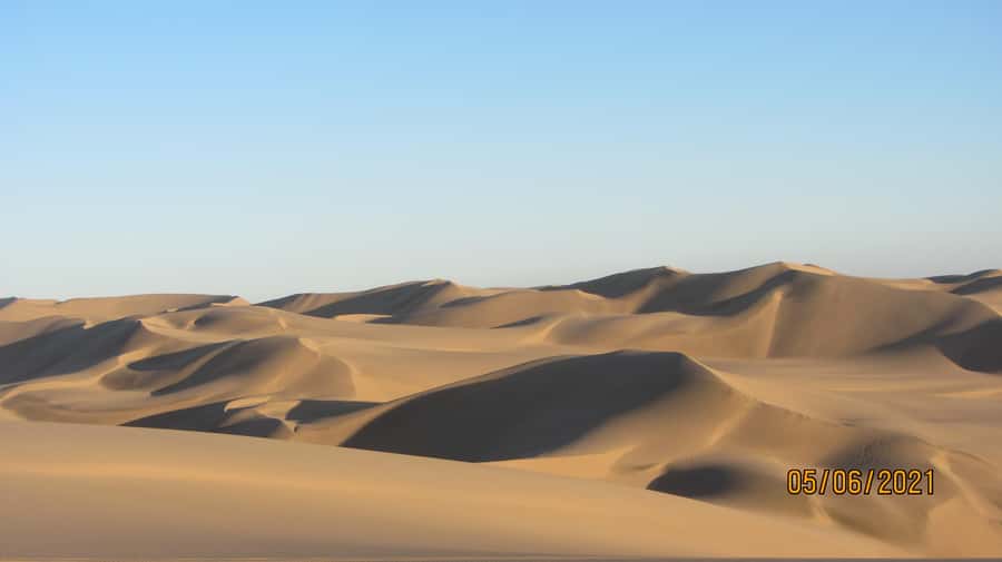 From Walvis Bay: Sandwich Harbour World Heritage Site - Sandboarding and dune climbing, the optional add-on that changes the feel of the day