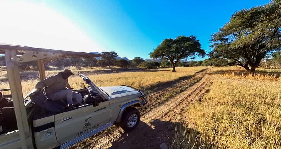 From Windhoek: Okapuka Safari Lodge Day Trip - Getting to Okapuka Safari Lodge without losing your whole day