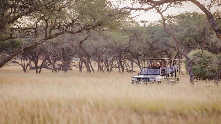 From Windhoek: Okapuka Safari Lodge Day Trip - Price and logistics: is $170 a good value from Windhoek?