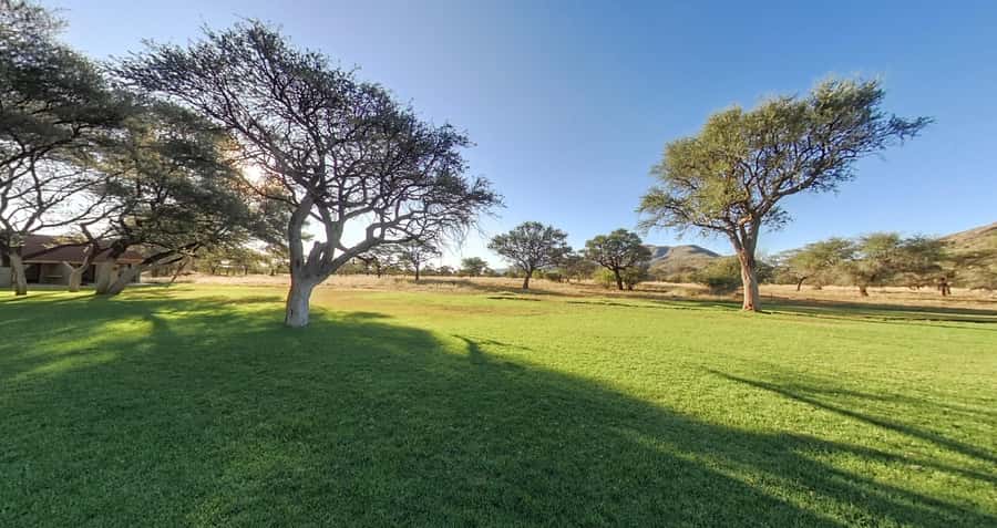 From Windhoek: Okapuka Safari Lodge Day Trip - The ranch setting: lawns, camel thorn shade, and that mountain backdrop