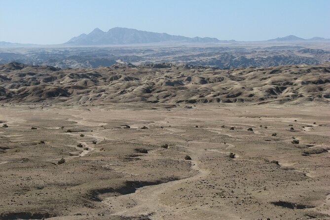 Full-Day Tour in Namib Desert from Swakopmund, Namibia - Price and value: what $125.31 buys you in the Namib