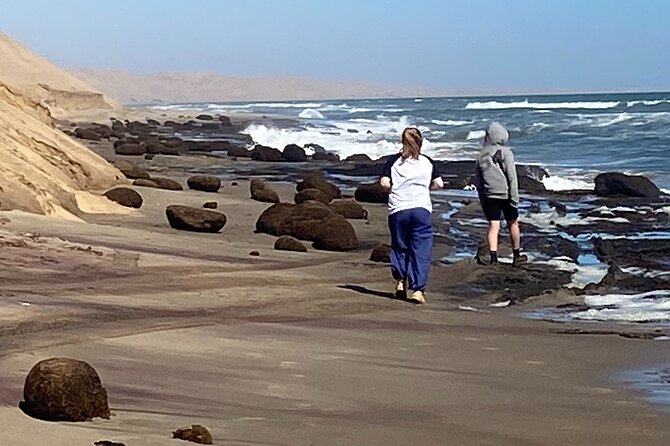 Full Day Tour Shipwreck Sandwich Harbour Adventure - Stop 2: Sandwich Harbour, dunes that run straight into the ocean