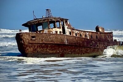 Full Day Tour Shipwreck Sandwich Harbour Adventure