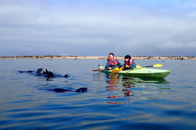 Half Day Original Seal Kayak Adventure, Pelican Point, Walvis Bay - Getting on the water near the lighthouse, heading for seal colonies
