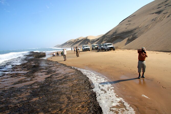 Half-Day Sandwich Harbour Tour from Walvis Bay with Lunch - Why this 4x4 gives access you cannot replicate on your own