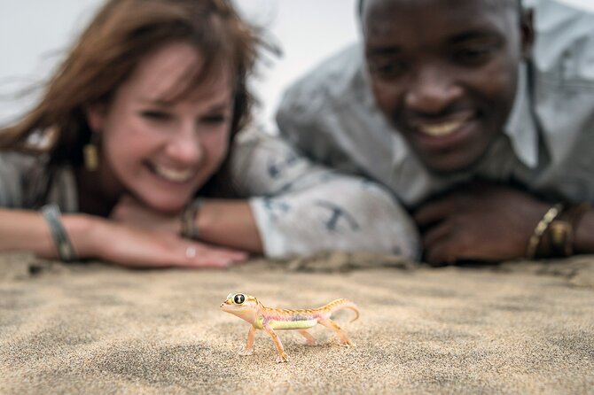 Half-Day Sandwich Harbour Tour from Walvis Bay with Lunch - Who should book this, and who should consider another option