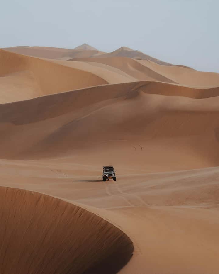Kayak Dune Day - Wildlife and Birdlife: What You Should Actually Watch For