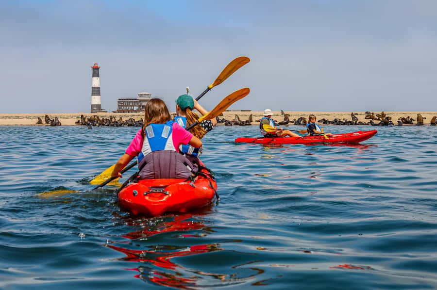 Kayak Dune Day - Price and Value: Does $389 Make Sense for an 8-Hour Day?