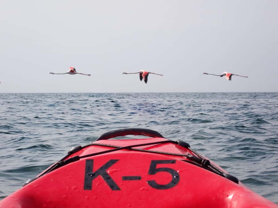 Kayak Dune Day - Morning Start: The Catamaran Ride to Pelican Point Peninsula