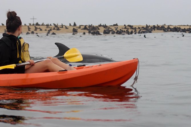Kayaking and Sandwich Habour Guided Day Tour from Walvis Bay - The 4x4 to the Namib Desert and Time in Namib Naukluft Park
