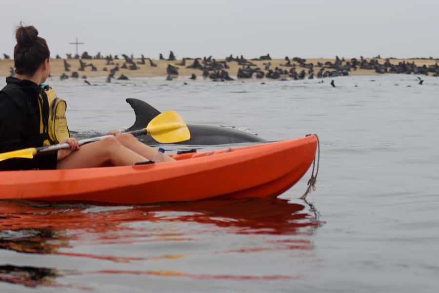 Kayaking and Sandwich Harbour Combo Tour - Key things that make this combo tour worth your time