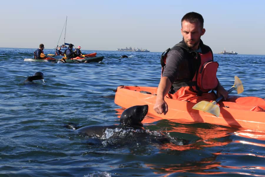 Kayaking and Sandwich Harbour Combo Tour - A sea-kayak morning, then Namib dunes in one full-day plan