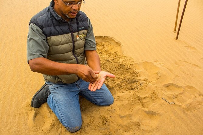 LIVING DESERT TOUR (Little 5 tour) - Moonlandscape and the ancient Welwitchia plant