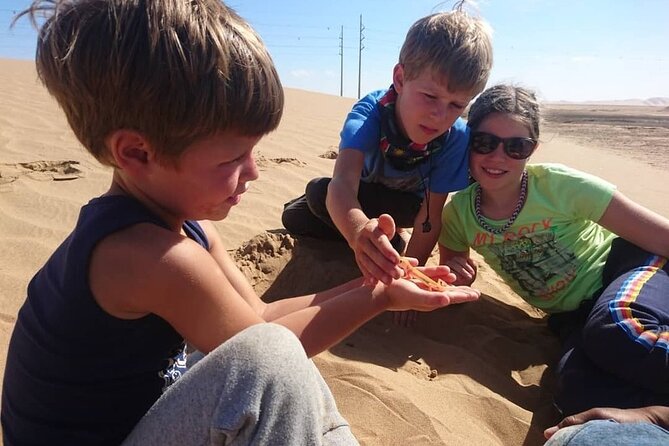 LIVING DESERT TOUR (Little 5 tour) - Price and value for $68.97 per person