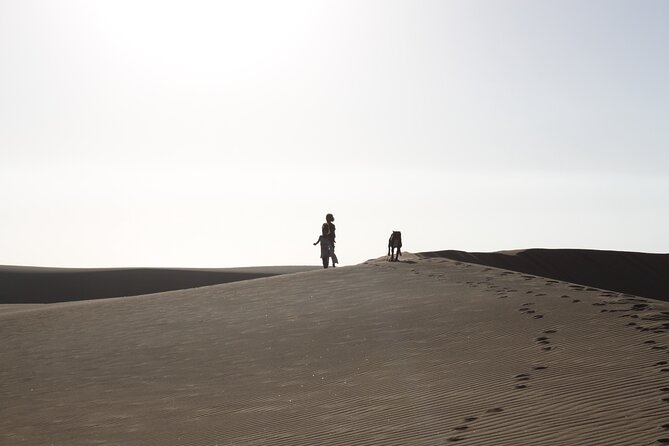 LIVING DESERT TOUR (Little 5 tour) - What to bring so you stay comfortable and ready to spot