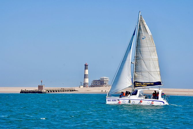 Marine Dolphin Seal Cruise - Wildlife spotting that actually feels guided