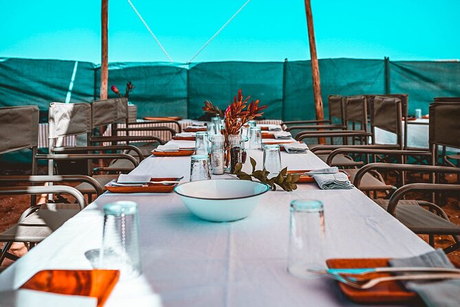 Mola Mola Day with Beach Braai Lunch - Pelican Point: Beach Braai Lunch on the Sand Peninsula