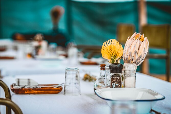 Mola Mola Day with Beach Braai Lunch - Price and What You Actually Get for Your Money