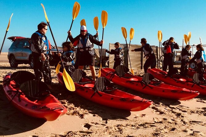 Mola Mola Kayaking Experience with a Licensed Guide - Starting at Mola Mola Safaris, Walvis Bay Waterfront
