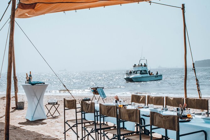 Mola Mola Marine Dolphin Cruise & Beach Braai on Pelican Point - Key Highlights You Should Know Before You Go