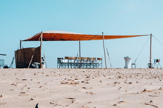 Mola Mola Marine Dolphin Cruise & Beach Braai on Pelican Point - Practical Tips for Getting the Most From This 5 to 6 Hour Day