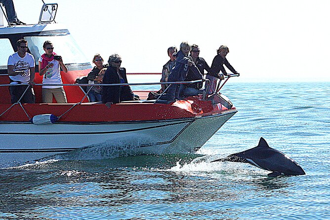 Mola Mola Marine Dolphin Cruise from the Walvis Bay Waterfront to Pelican Point - All-weather cruising on the Skeleton Coast: what to pack and expect