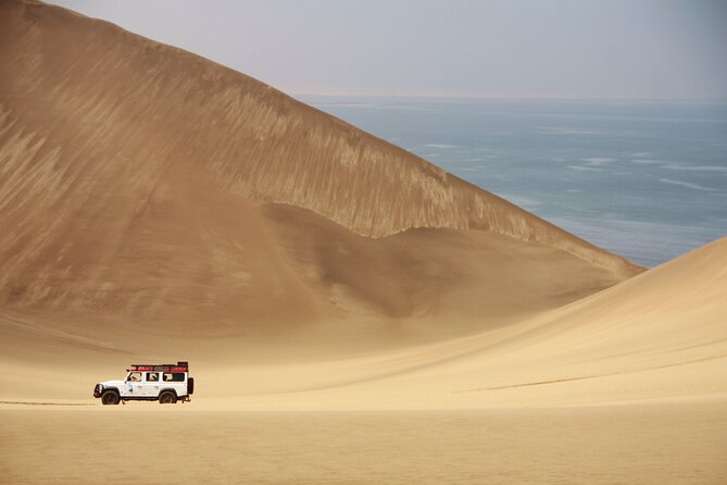 Mola Mola Marine Dune Experience - Pelican Point and the Seal Colony, Why This Stretch Feels Special