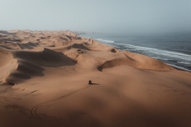 Mola Mola Marine Dune Experience - Who Should Book This Marine Dune Day, and Who Might Not