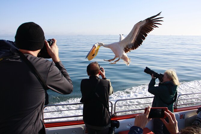 Mola Mola Marine Dune Experience - Practical Tips for Comfort, Photos, and a Smooth Day