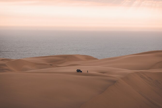 Mola Mola Marine Dune Experience - Walvis Bay Marine Cruise, Lagoon Oysters and Seal Colony Encounters
