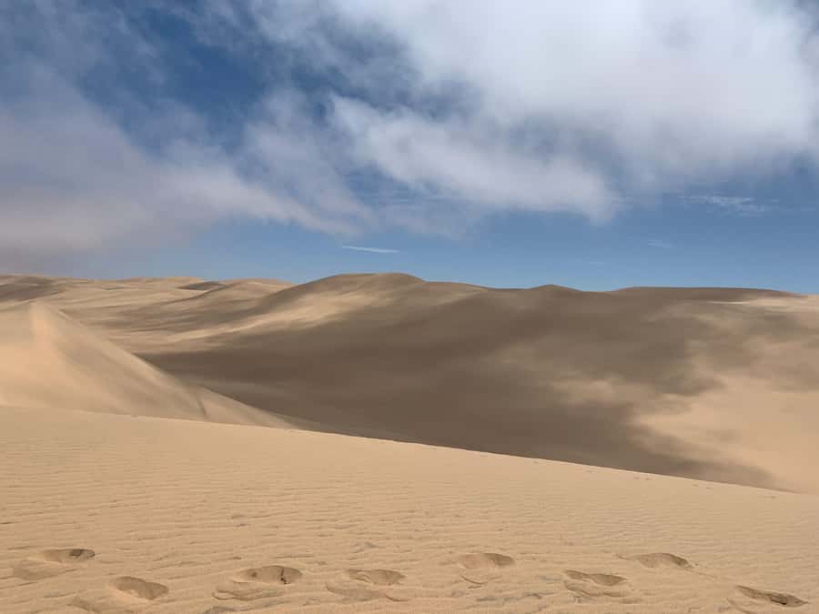 Namibia; Classic Sandwich Harbour Tour - Key moments worth penciling in